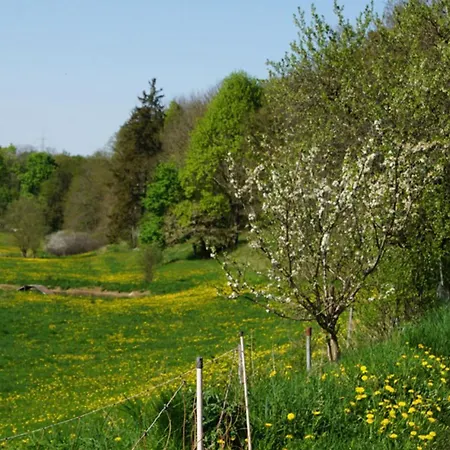 Eselstall Karl مكان تخييم Lohma