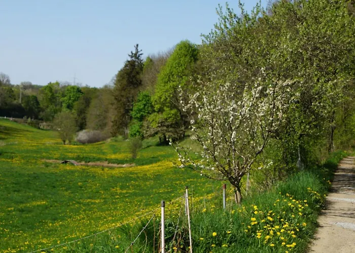Eselstall Karl Camping Lohma